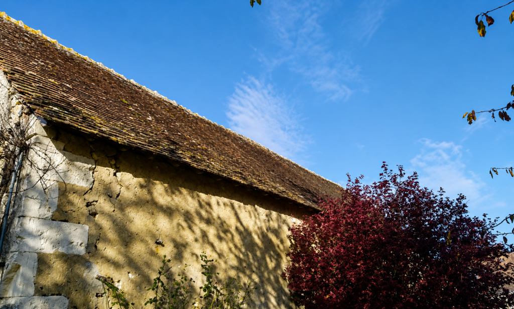 Pourquoi démousser sa toiture est indispensable ? Les conseils de votre couvreur en Sarthe et Loir-et-Cher
